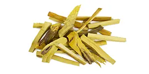 Barberry Root Image of barberry root